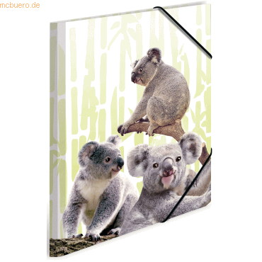 3 x HERMA Sammelmappe A3 PP Koalafamilie 3 x HERMA Sammelmappe A3 PP Koalafamilie von Herma