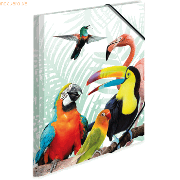 3 x HERMA Sammelmappe A3 PP Tropenclique 3 x HERMA Sammelmappe A3 PP Tropenclique von Herma