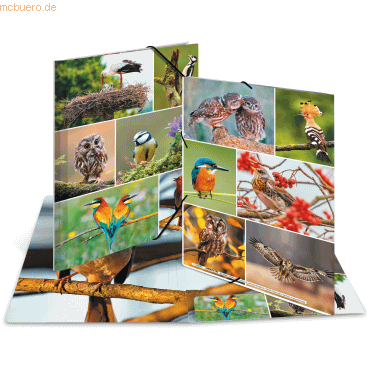 3 x HERMA Sammelmappe A4 Karton Heimatvögel 3 x HERMA Sammelmappe A4 Karton Heimatvögel von Herma