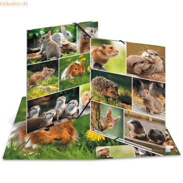3 x HERMA Sammelmappe A4 Karton Nagetiere 3 x HERMA Sammelmappe A4 Karton Nagetiere von Herma