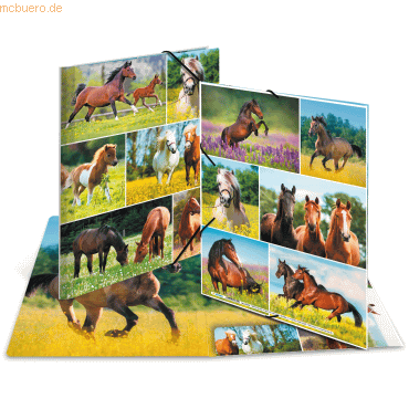 3 x HERMA Sammelmappe A4 Karton Pferdewiese 3 x HERMA Sammelmappe A4 Karton Pferdewiese von Herma