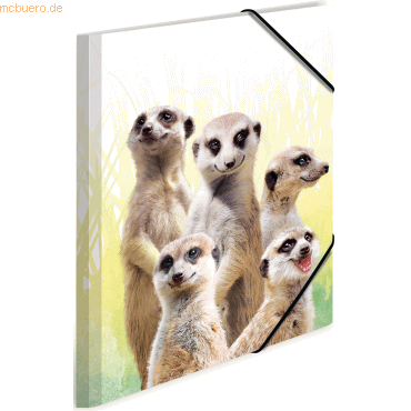 3 x HERMA Sammelmappe A4 PP Erdmännchentruppe 3 x HERMA Sammelmappe A4 PP Erdmännchentruppe von Herma