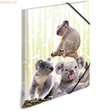 3 x HERMA Sammelmappe A4 PP Koalafamilie 3 x HERMA Sammelmappe A4 PP Koalafamilie von Herma