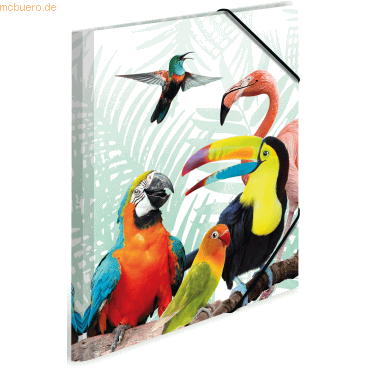 3 x HERMA Sammelmappe A4 PP Tropenclique 3 x HERMA Sammelmappe A4 PP Tropenclique von Herma