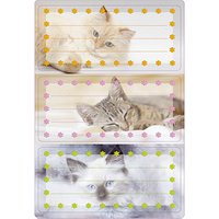 HERMA Schuletiketten Katzen, 6 Etiketten HERMA Schuletiketten Katzen, 6 Etiketten von Herma