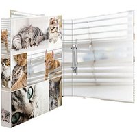 HERMA Animals Katzen Ringbuch 2-Ringe Motiv 3,5 cm DIN A4 HERMA Animals Katzen Ringbuch 2-Ringe Motiv 3,5 cm DIN A4 von Herma