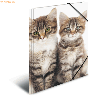 HERMA Gummizugmappe A4 PP (Polypropylen) Katzen von Herma