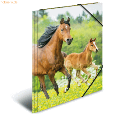 HERMA Gummizugmappe A4 PP (Polypropylen) Pferde von Herma
