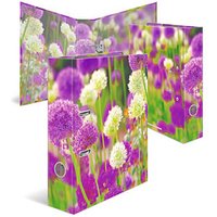HERMA Herma Ordner Purple Sensation Motivordner 7,0 cm DIN A4 HERMA Herma Ordner Purple Sensation Motivordner 7,0 cm DIN A4 von Herma