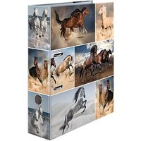 HERMA Motivordner Pferde 7,0 cm DIN A4 HERMA Motivordner Pferde 7,0 cm DIN A4 von Herma