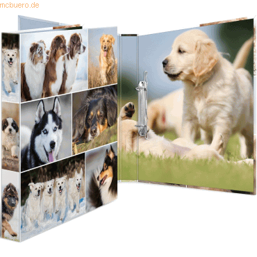 3 x HERMA Ringbuch A4 Karton 2 Ringe Hunde 3 x HERMA Ringbuch A4 Karton 2 Ringe Hunde von Herma
