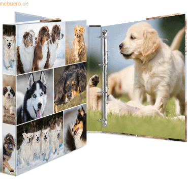 HERMA Ringbuch A4 Karton 4 Ringe Hunde von Herma