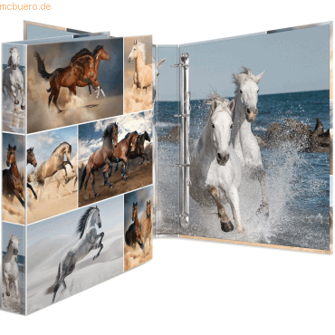 HERMA Ringbuch A4 Karton 4 Ringe Pferde von Herma