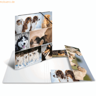 HERMA Sammelmappe A4 Pappe Hunde von Herma