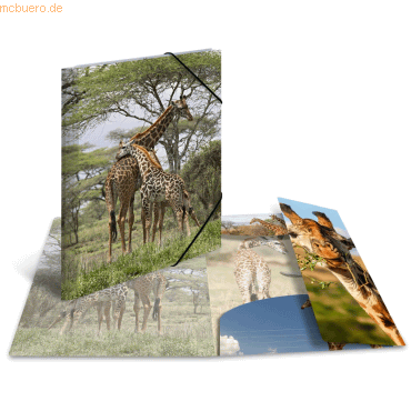 HERMA Sammelmappe Glossy Tiere A3 PP Giraffe von Herma