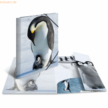 HERMA Sammelmappe Glossy Tiere A3 PP Pinguine von Herma