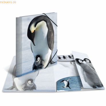 HERMA Sammelmappe Glossy Tiere A4 PP Pinguine von Herma
