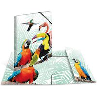 HERMA Sammelmappen DIN A4 Papageien, 3 St. von Herma