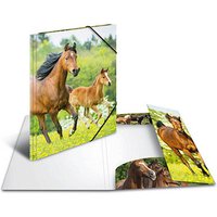 HERMA Zeichenmappen DIN A3 Pferde, 3 St. von Herma