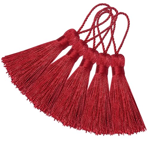 20 Stück Mini Seidige Quasten Anhänger Handgefertigte Weiche Basteln für Lesezeichen Zubehör, DIY Projekte, Ohrring Schmuck, Geschenk, Schlüsselanhänger, Vorhang und Tasch Dekoration (Weinrot) von Hetuyon