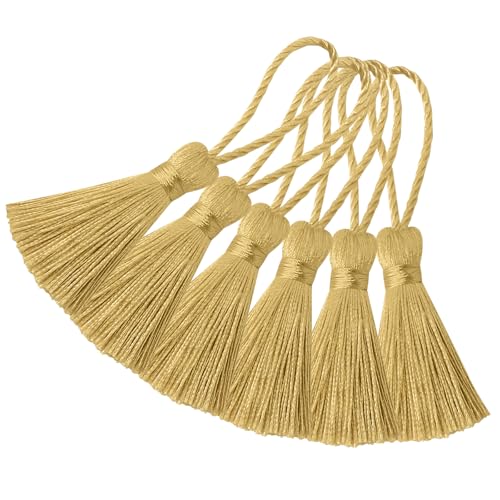 20 Stück Mini Seidige Quasten Anhänger Handgefertigte Weiche Basteln für Lesezeichen Zubehör, DIY Projekte, Ohrring Schmuck, Geschenk, Schlüsselanhänger, Vorhang und Tasch Dekoration (Champagner) 20 Stück Mini Seidige Quasten Anhänger Handgefertigte Weiche Basteln für Lesezeichen Zubehör, DIY Projekte, Ohrring Schmuck, Geschenk, Schlüsselanhänger, Vorhang und Tasch Dekoration (Champagner) von Hetuyon
