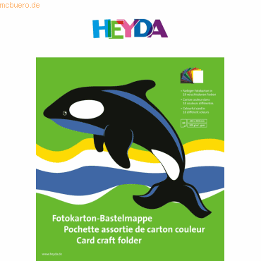 10 x Heyda Fotokarton 25x35cm 300g/qm VE= 10 Blatt farbig sortiert von Heyda