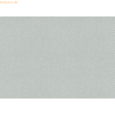 10 x Heyda Universalkarton 220g/qm 50x70cm hellgrau 10 x Heyda Universalkarton 220g/qm 50x70cm hellgrau von Heyda