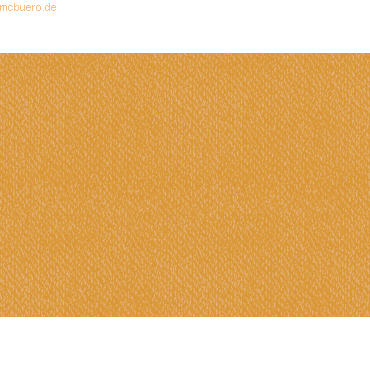 10 x Heyda Universalkarton 220g/qm 50x70cm orange 10 x Heyda Universalkarton 220g/qm 50x70cm orange von Heyda
