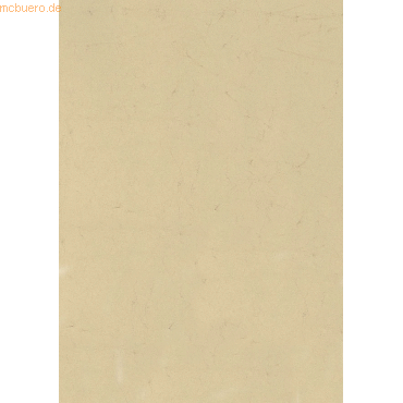 100 x Heyda Elefantenhaut A4 110 g/qm chamois 100 x Heyda Elefantenhaut A4 110 g/qm chamois von Heyda