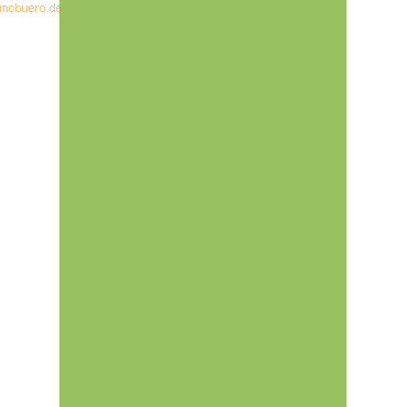 100 x Heyda Tonpapier 130g/qm A4 grasgrün 100 x Heyda Tonpapier 130g/qm A4 grasgrün von Heyda