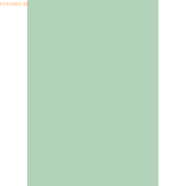 100 x Heyda Tonpapier 130g/qm A4 mint von Heyda