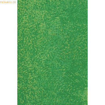 5 x Heyda Holografie-Klebefolie 100x50cm grün von Heyda