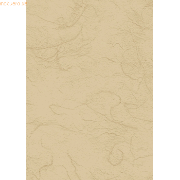 5 x Heyda Strohseide 70x150cm auf Rolle 25g/qm beige 5 x Heyda Strohseide 70x150cm auf Rolle 25g/qm beige von Heyda