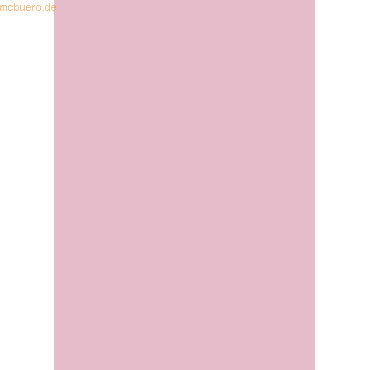 50 x Heyda Fotokarton 300g/qm A4 rosa 50 x Heyda Fotokarton 300g/qm A4 rosa von Heyda