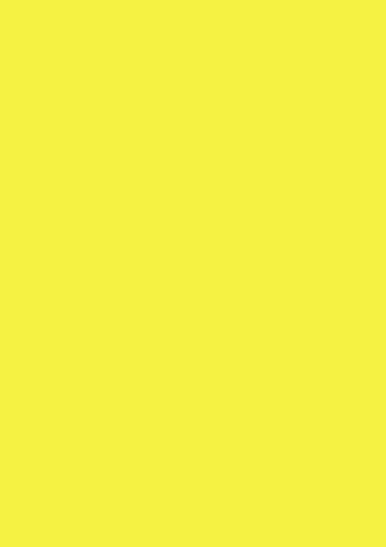Brunnen Plakatkarton 48x68cm neon-gelb Packung 10 Karton, 31610.14 Brunnen Plakatkarton 48x68cm neon-gelb Packung 10 Karton, 31610.14 von Heyda