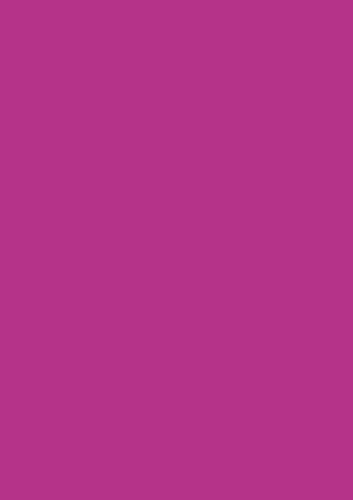 Heyda 203300064 Krepp-Papier Röllchen 50 x 250 cm Farbe: pink von Heyda