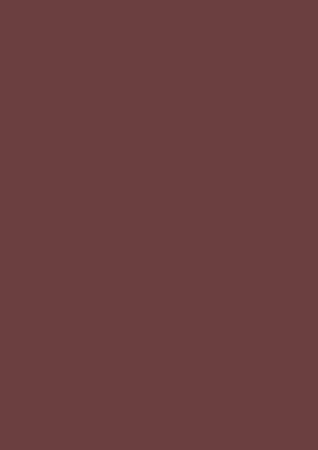 Heyda 203300077 Krepp-Papier Röllchen 50 x 250 cm Farbe: mittelbraun Heyda 203300077 Krepp-Papier Röllchen 50 x 250 cm Farbe: mittelbraun von Heyda