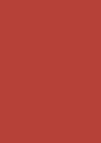 Heyda 203310523 Seidenpapier 50 x 70 cm, Farbe: hellrot Heyda 203310523 Seidenpapier 50 x 70 cm, Farbe: hellrot von Heyda
