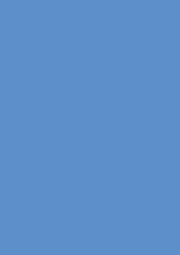 Heyda 203310532 Seidenpapier 50 x 70 cm hellblau Heyda 203310532 Seidenpapier 50 x 70 cm hellblau von Heyda