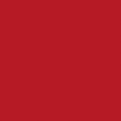 Heyda 204875568 Faltblätter transparent 20 x 20 cm Rot Heyda 204875568 Faltblätter transparent 20 x 20 cm Rot von Heyda