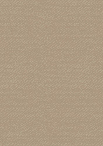 Heyda Bastelkarton Uni 50x70 220g h.br Heyda Bastelkarton Uni 50x70 220g h.br von Heyda