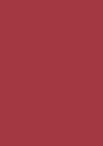 Heyda HEYDA 203310524 Seidenpapier 50 x 70 cm mittelrot von Heyda