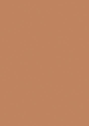 Tonpapier terracotta - 5 Bögen 130 gr - 50 x 70 cm Tonpapier terracotta - 5 Bögen 130 gr - 50 x 70 cm von Heyda