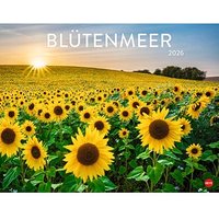 Heye Monats-Wandkalender Blütenmeer 2026 von Heye