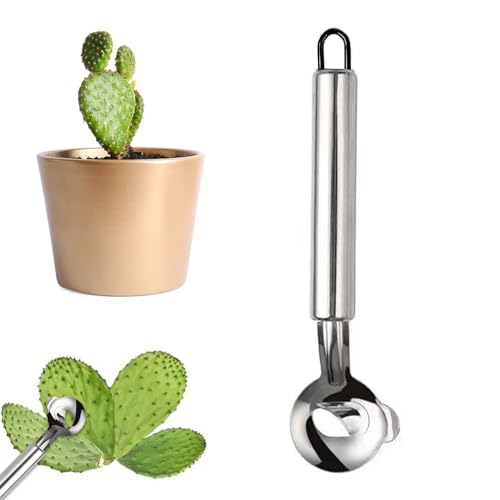 Cactus Peeler Spoon aus Edelstahl, Cuchara Pelador de Nopales, Multifunktionales Cactus Peeler Tool mit Lochgriff, Nudel- und Teigschneider Küchenzubehör (1 Stück) von Hiborth