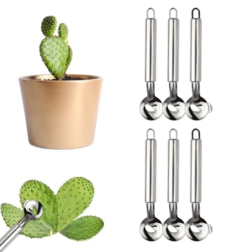 Cactus Peeler Spoon aus Edelstahl, Cuchara Pelador de Nopales, Multifunktionales Cactus Peeler Tool mit Lochgriff, Nudel- und Teigschneider Küchenzubehör (6 Stück) von Hiborth