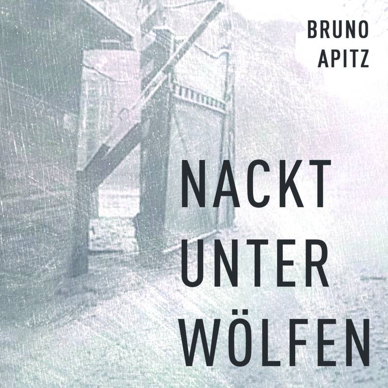 Nackt Unter Wölfen,Audio-Cd, Mp3 - Bruno Apitz (Hörbuch) von Hierax Medien