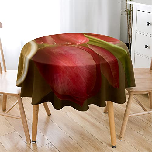 Highdi Rund Tischdecke Abwaschbar Tulpe Blumen Tischdecken Wasserdicht Antifouling Pflegeleicht Lotuseffekt Tischtuch für Home Küche Dekoration Garten (Durchmesser 90cm,Rote Blütenblätter) von Highdi