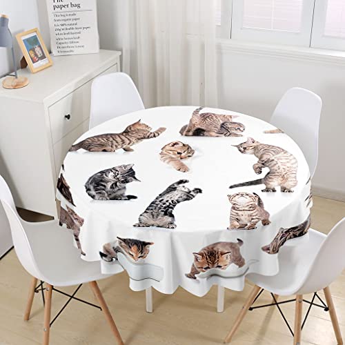 Highdi Tischdecke Rund 3D Tier Wasserdicht Antifouling Pflegeleicht Abwaschbar Polyester Tischdecke, für Home Küche Dekoration (100cm,Katze) von Highdi