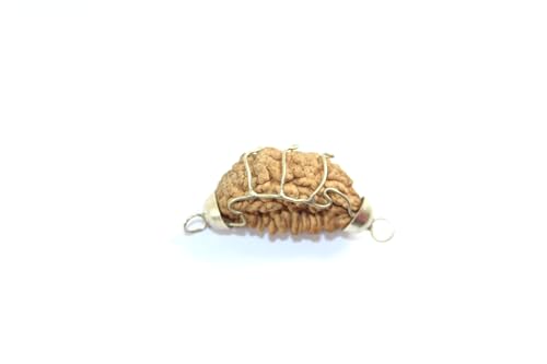 Rudraksha Gebetsperlen, traditionelle spirituelle Rudraksha-Perlen mit Zertifikat Original Rudraksha (1 Mukhi Rudraksha) von Hijet